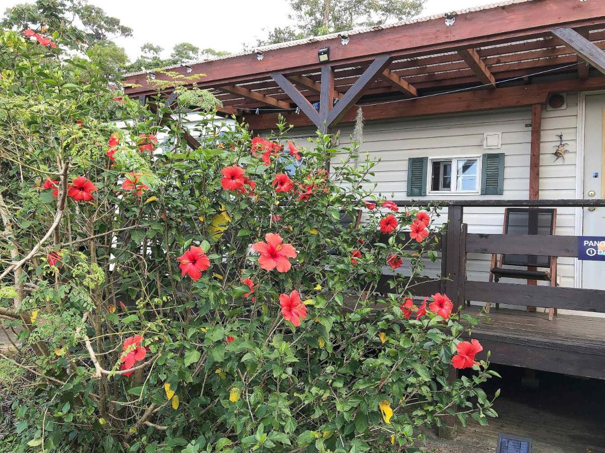 Panorama Ocean View Cottage Motobu Εξωτερικό φωτογραφία