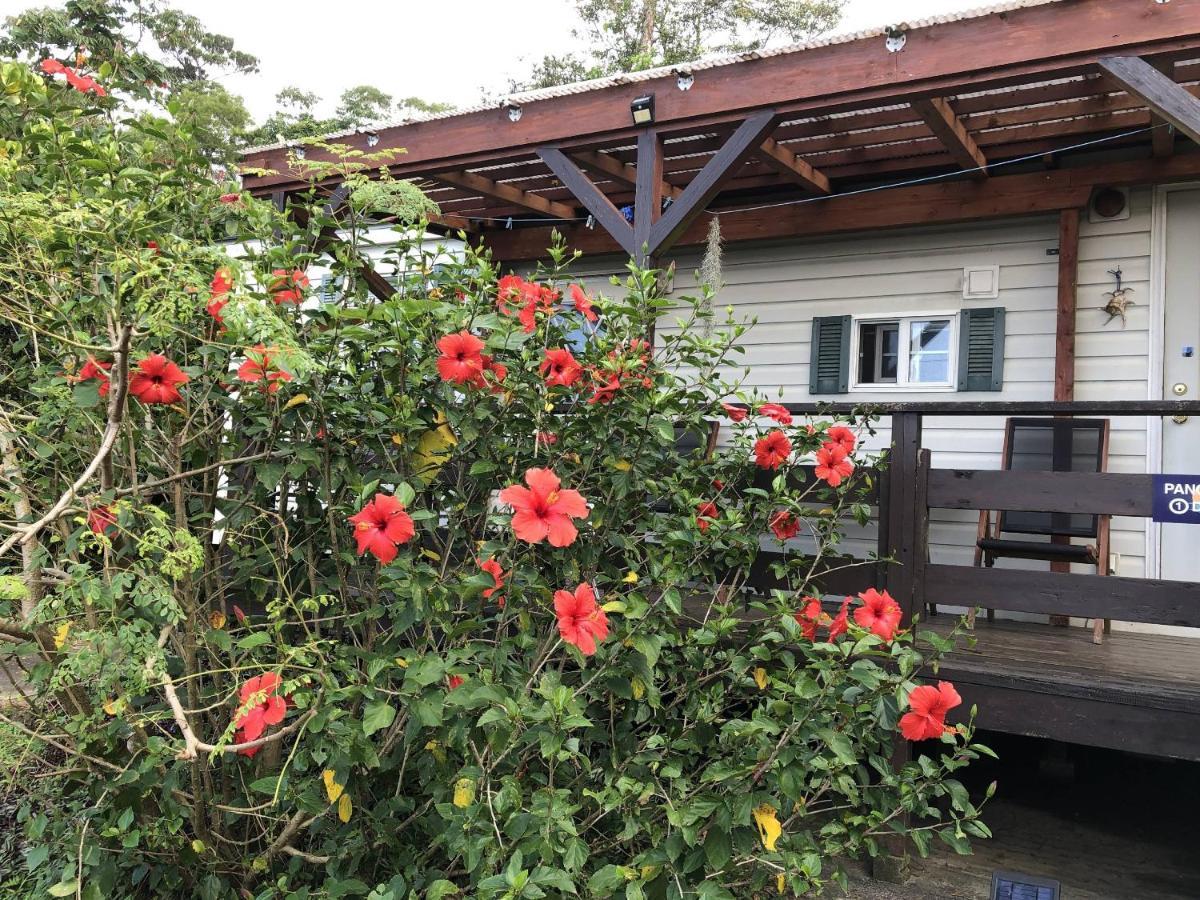 Panorama Ocean View Cottage Motobu Εξωτερικό φωτογραφία
